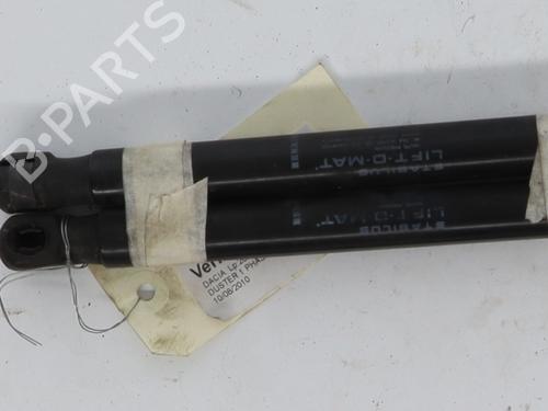 tailgate-lift-support-dacia-duster-hs_-2010-2011-2012-2013-2014-2015-2016-2017-2018-37329894 main image