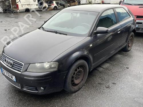 Recambios AUDI A3 (8P1) 1.9 TDI 4802022