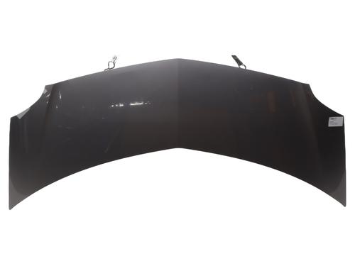 hood-renault-modus-grand-modus-fjp0_-2004-37332690 main image
