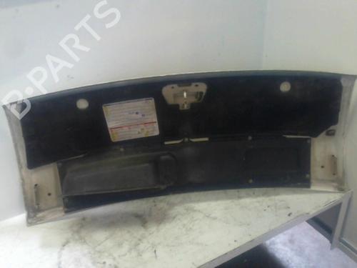 hood-fiat-ducato-van-250_-2006-37302911 main image