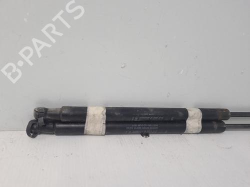 tailgate-lift-support-fiat-500-312_-2007-37319649 main image