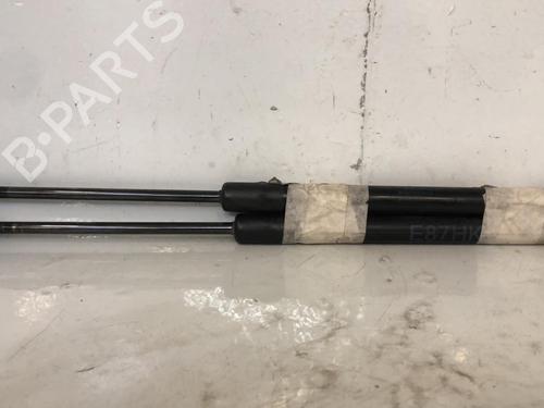 tailgate-lift-support-bmw-1-e87-2003-2004-2005-2006-2007-2008-2009-2010-2011-2012-2013-37309969 main image