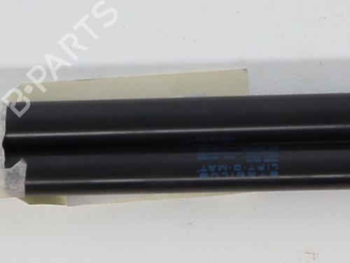 tailgate-lift-support-renault-scenic-ii-jm01_-2003-2004-2005-2006-2007-2008-2009-2010-37331605 main image