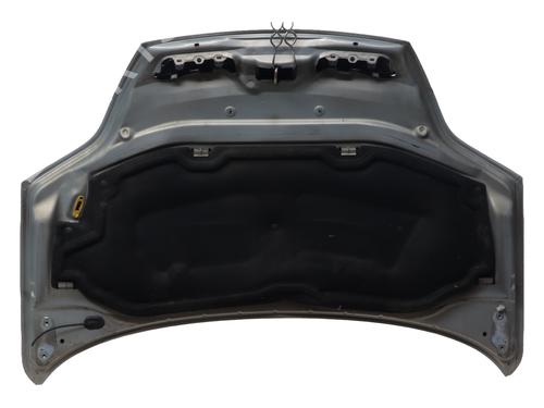Used Hood Hood 38596651 38596651