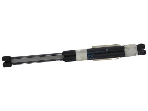 Used Tailgate lift support Tailgate lift support CITROËN C3 I (FC_, FN_) 1.6 16V (109 hp) 40219976 40219976