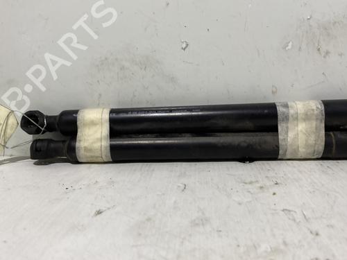 Tailgate lift support RENAULT ZOE (BFM_) ZOE | BP37753870C138 - Image 3