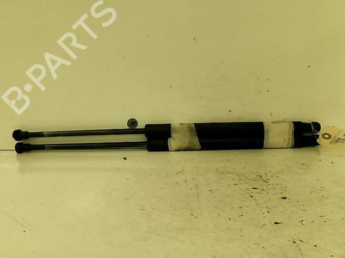 tailgate-lift-support-fiat-punto-199_-2012-37305147 main image