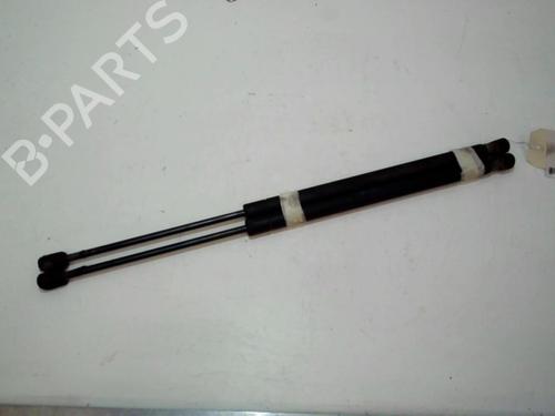 tailgate-lift-support-renault-scenic-ii-jm01_-2003-2004-2005-2006-2007-2008-2009-2010-37309259 main image