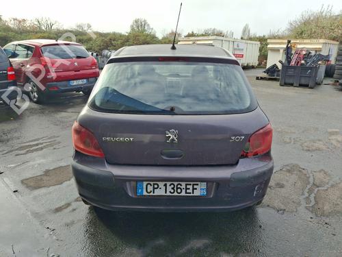 Left headlight PEUGEOT 307 (3A/C) 1.6 16V | BP37339919C28 - Image 12