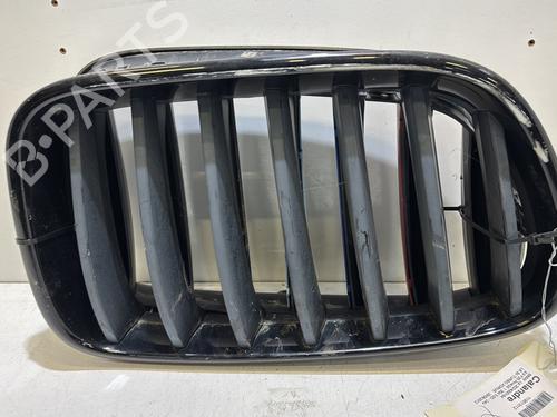 grille-bmw-x3-f25-2010-2011-2012-2013-2014-2015-2016-2017-37341082 main image