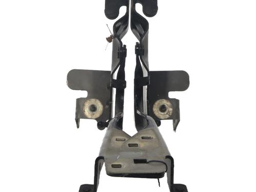 hingedoor-check-strap-renault-scenic-iii-jz01_-2008-2009-2010-2011-2012-2013-2014-2015-2016-37341914 main image