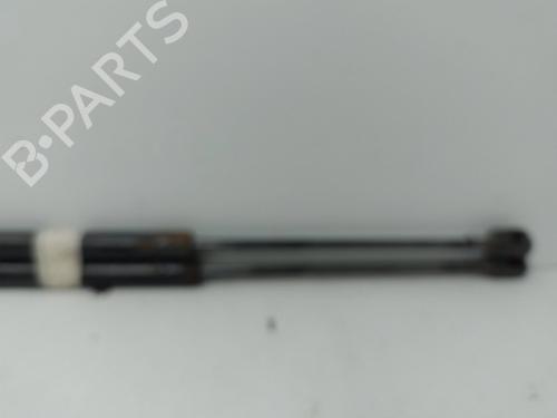 tailgate-lift-support-renault-scenic-ii-jm01_-2003-2004-2005-2006-2007-2008-2009-2010-37318231 main image