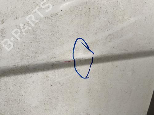 Left front door RENAULT TRAFIC II Van (FL) | BP37330146C2 - Image 5
