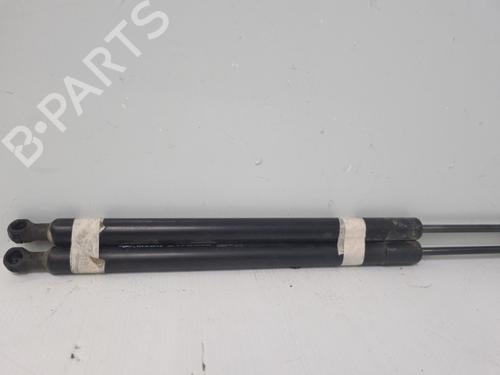 tailgate-lift-support-renault-modus-grand-modus-fjp0_-2004-37318731 main image