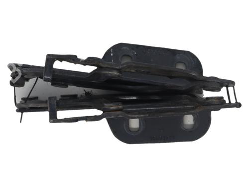 hingedoor-check-strap-ford-fiesta-vi-cb1-ccn-2008-37349266 main image