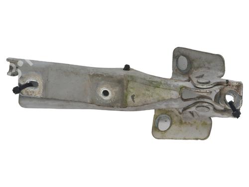 hingedoor-check-strap-citroen-c3-ii-sc_-2009-37342649 main image