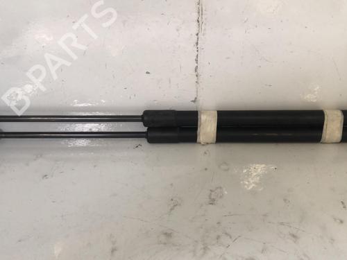 Gasdæmper bagklap Gasdæmper bagklap VW GOLF PLUS V (5M1, 521) [2004-2013] 37309382 37309382