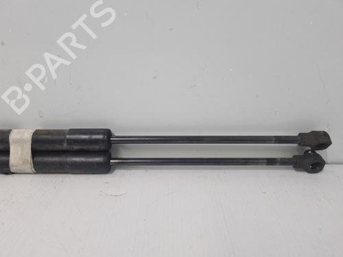 tailgate-lift-support-renault-clio-iv-bh_-2012-2013-2014-2015-2016-2017-2018-2019-2020-2021-37318107 main image