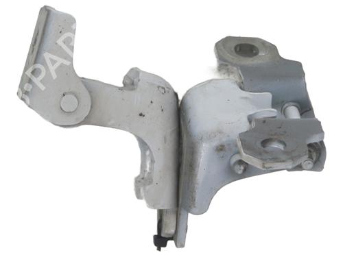 hingedoor-check-strap-renault-clio-iv-bh_-2012-2013-2014-2015-2016-2017-2018-2019-2020-2021-37340602 main image