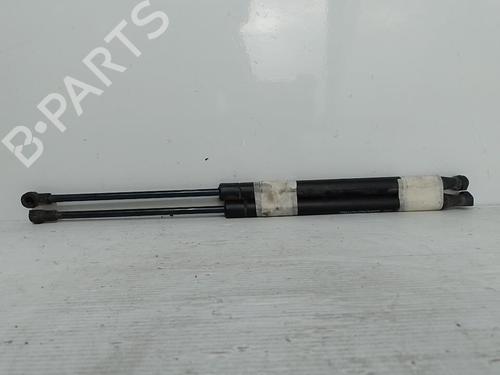 tailgate-lift-support-fiat-500-312_-2007-37313161 main image