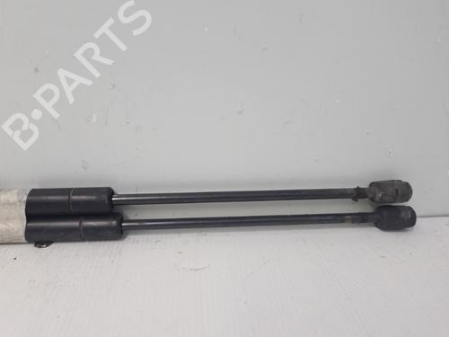 tailgate-lift-support-renault-scenic-ii-jm01_-2003-2004-2005-2006-2007-2008-2009-2010-37319420 main image