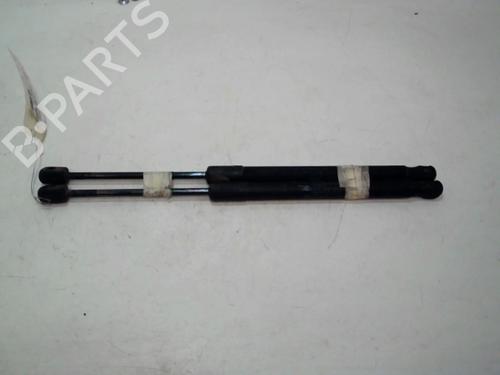 tailgate-lift-support-dacia-duster-hs_-2010-2011-2012-2013-2014-2015-2016-2017-2018-37307801 main image