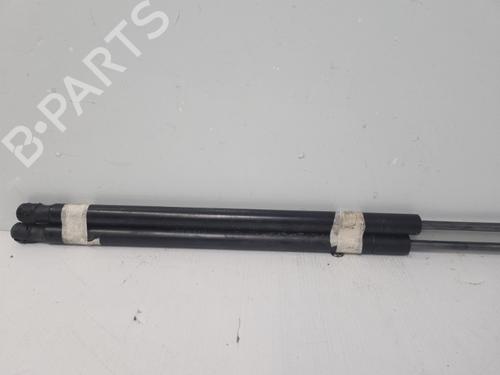 tailgate-lift-support-citroen-c4-picasso-i-mpv-ud_-2006-2007-2008-2009-2010-2011-2012-2013-2014-2015-37318724 main image
