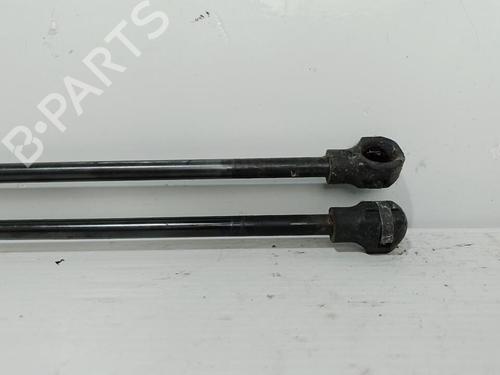 tailgate-lift-support-dacia-sandero-ii-2012-37314353 main image