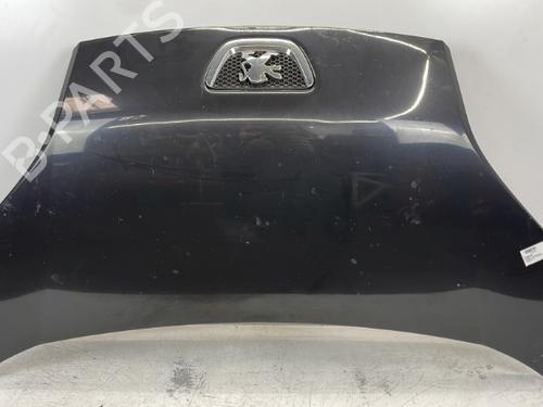 hood-peugeot-bipper-tepee-2008-37324161 main image