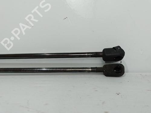 tailgate-lift-support-renault-clio-iii-br01-cr01-2005-2006-2007-2008-2009-2010-2011-2012-2013-2014-37314678 main image