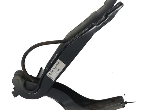 hingedoor-check-strap-peugeot-308-sw-i-4e_-4h_-2007-2008-2009-2010-2011-2012-2013-2014-37345958 main image