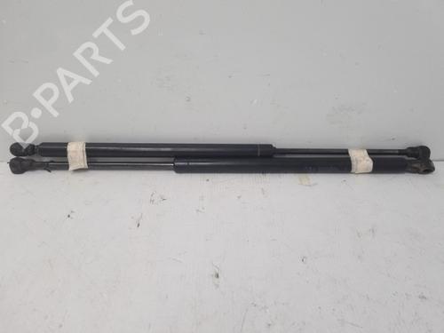 tailgate-lift-support-renault-scenic-ii-jm01_-2003-2004-2005-2006-2007-2008-2009-2010-37319668 main image