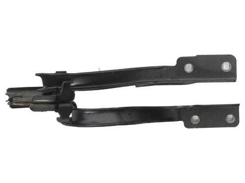 hingedoor-check-strap-fiat-500-312_-2007-37341442 main image