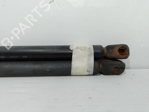 tailgate-lift-support-mini-mini-r50-r53-2001-2002-2003-2004-2005-2006-37314119 main image