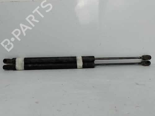 tailgate-lift-support-renault-scenic-ii-jm01_-2003-2004-2005-2006-2007-2008-2009-2010-37311982 main image