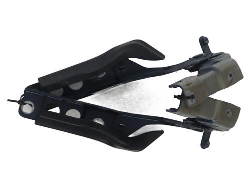 hingedoor-check-strap-citroen-ds4-nx_-2011-2012-2013-2014-2015-37345532 main image