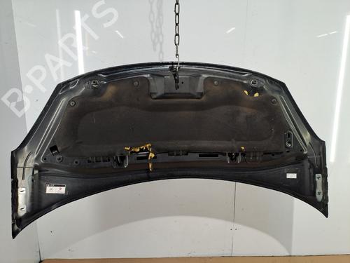 hood-citroen-ds3-sa_-2009-2010-2011-2012-2013-2014-2015-2016-39755576 main image
