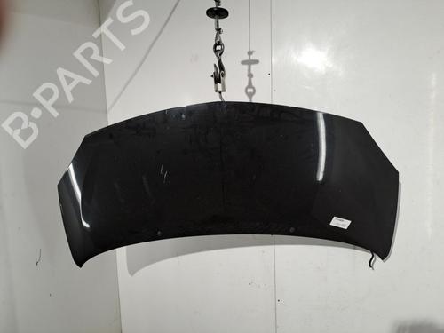 hood-renault-twingo-ii-cn0_-2007-38663381 main image