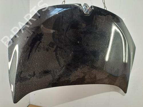 Used Hood Hood RENAULT MEGANE III Coupe (DZ0/1_) 2.0 R.S. (265 hp) 39738268 39738268