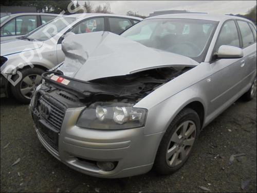 Brugte AUDI A3 Sportback (8PA)  1.9 TDI  4926361