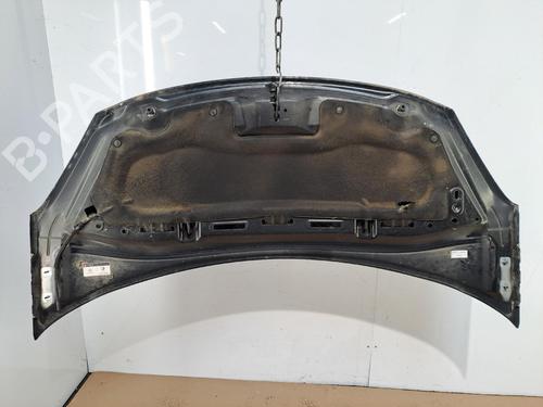 Used Hood Hood CITROËN C3 II (SC_) 1.4 HDi 70 (SC8HZC, SC8HR0, SC8HP4) (68 hp) 39755561 39755561