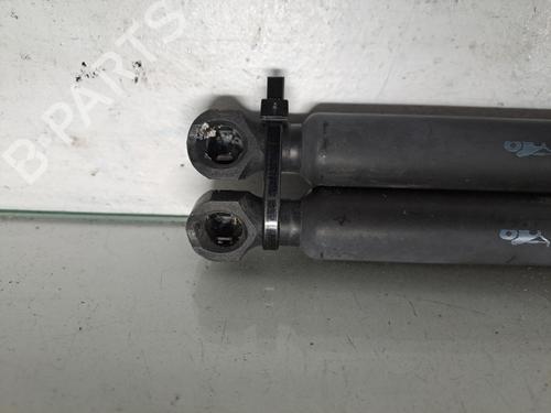 tailgate-lift-support-renault-megane-iv-hatchback-b9amn_-2015-38667624 main image