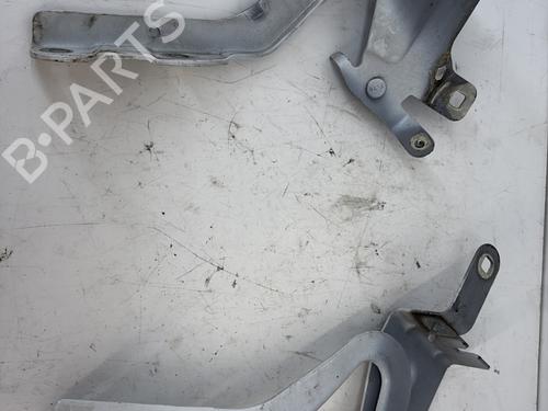 Used Hinge/Door check strap Hinge/Door check strap RENAULT CLIO IV (BH_) 1.5 dCi 75 (75 hp) 38668316 38668316