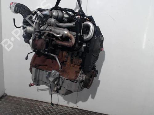 Engine RENAULT MEGANE III Hatchback (BZ0/1_, B3_) 1.5 dCi (BZ09, BZ0D, BZ1W, BZ29, BZ14) | BP38662074M1  - Image 7