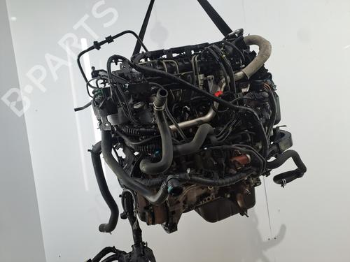 Engine FORD FIESTA VI (CB1, CCN) 1.6 TDCi | BP38671650M1  - Image 6