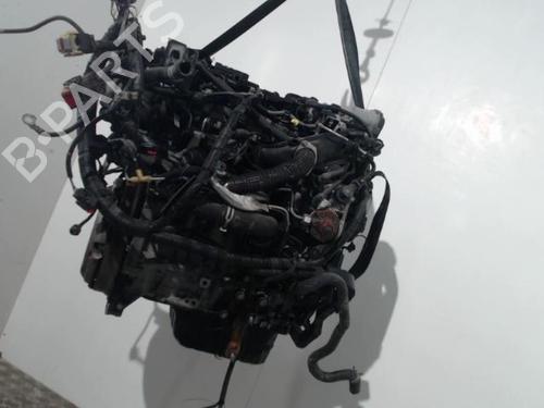 Engine FORD FIESTA VI (CB1, CCN) 1.4 TDCi | BP38661300M1 - Image 8