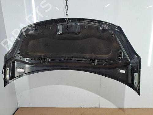 Used Hood Hood CITROËN C3 II (SC_) 1.4 HDi 70 (SC8HZC, SC8HR0, SC8HP4) (68 hp) 39755526 39755526