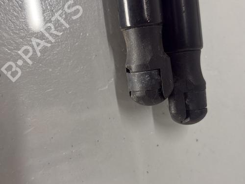 tailgate-lift-support-citroen-c4-picasso-ii-2013-38670705 main image