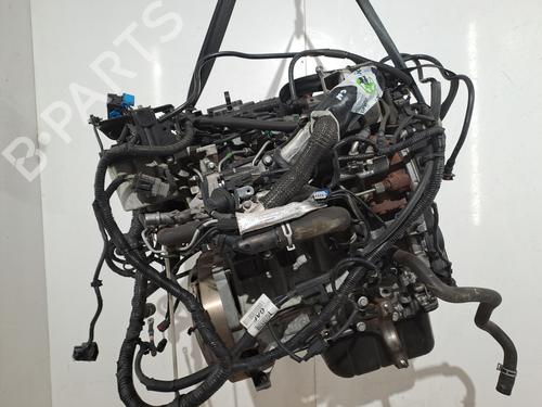 Engine FORD C-MAX II (DXA/CB7, DXA/CEU) 1.6 TDCi | BP38668838M1 - Image 5