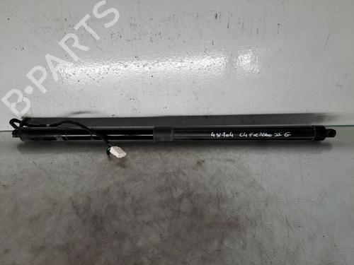 tailgate-lift-support-citroen-c4-picasso-ii-2013-38668991 main image